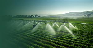 Hệ Thống Nông Nghiệp Cộng Đồng Hạt Giống Là Gì (Seed Community Systems Agriculture là gì)